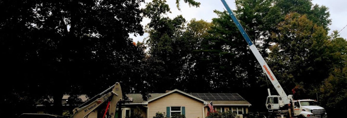 Fairlead Tree Service, LLC