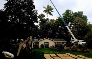 Fairlead Tree Service, LLC