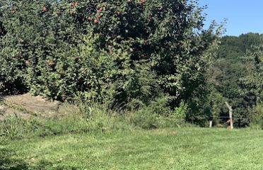 Belinsky Farm