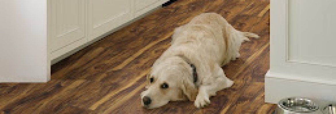Floor Coverings International