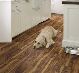 Floor Coverings International