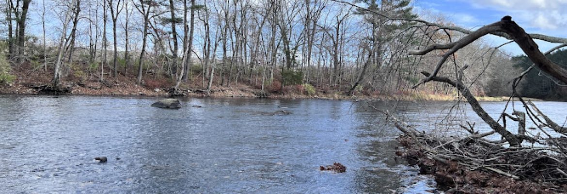 Sprague Land Preserve