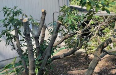 IPM Landscapes LLC