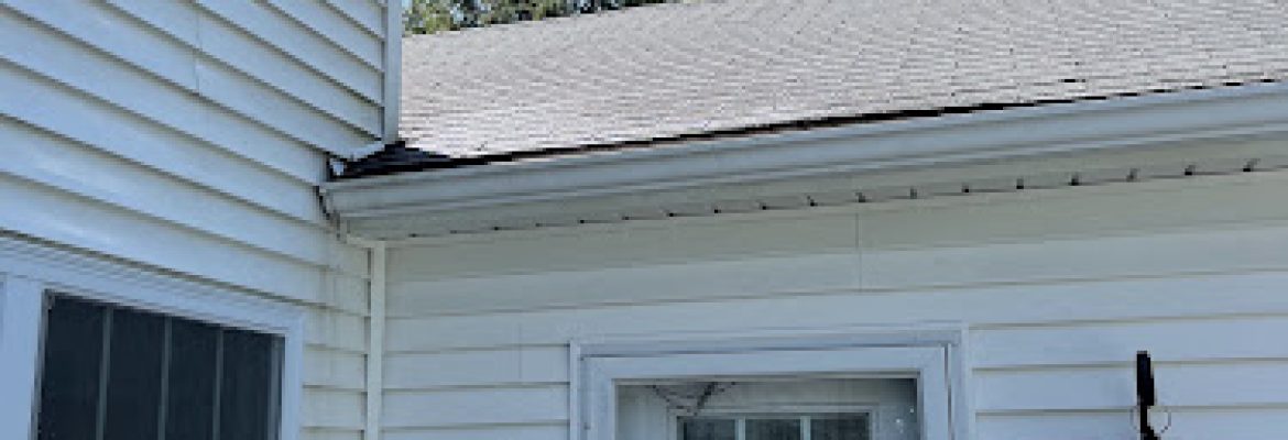 PayLess Gutter Cleaning LLC