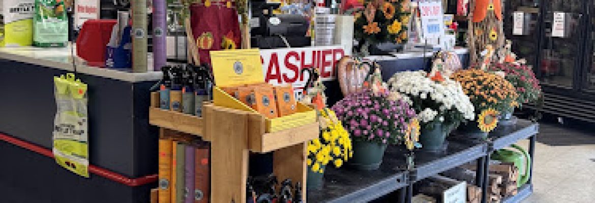 Treeland Garden Center & Nursery