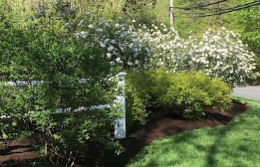 Tall Trees Landscaping