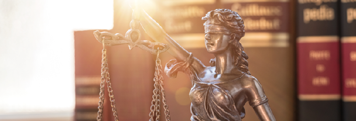 Marshall law L.L.C.