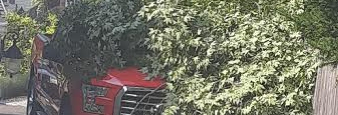Eagle landscaping LLC
