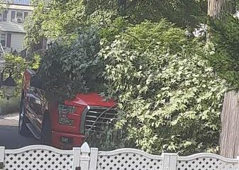 Eagle landscaping LLC