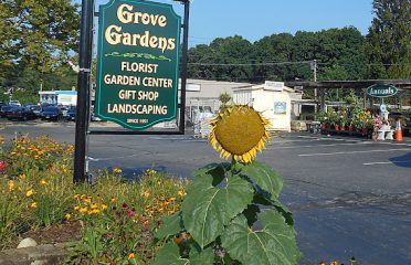 Grove Gardens Nursery and Garden Center