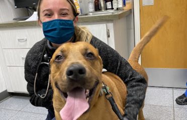 Connecticut Veterinary Center