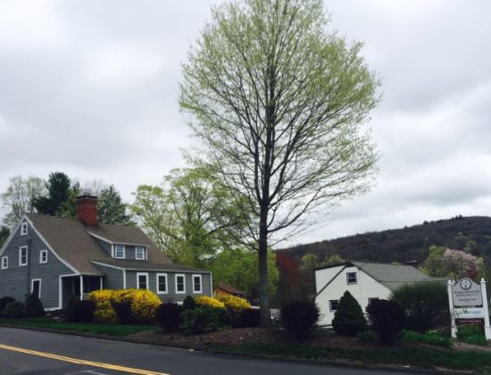 Ward Kilduff Mortgage