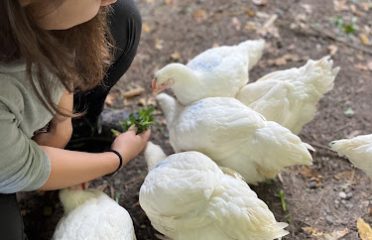 The Farmette Sanctuary