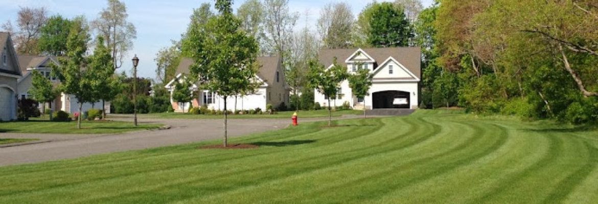 Scenic Landscaping & Property Maintenance LLC