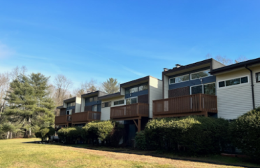 Ann Gerschefski, Realtor