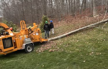 Temo Landscaping & Tree Service