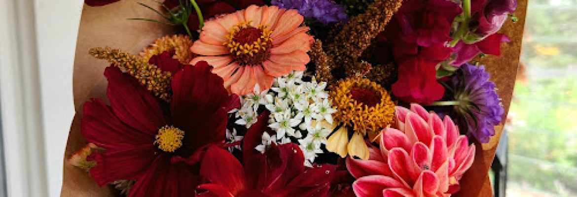 Foliota Flower Farm