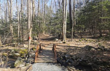 Webb Mountain Park