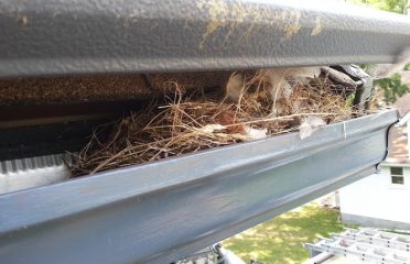 Apex Gutters LLC