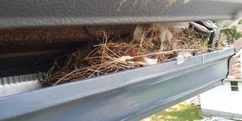 Apex Gutters LLC