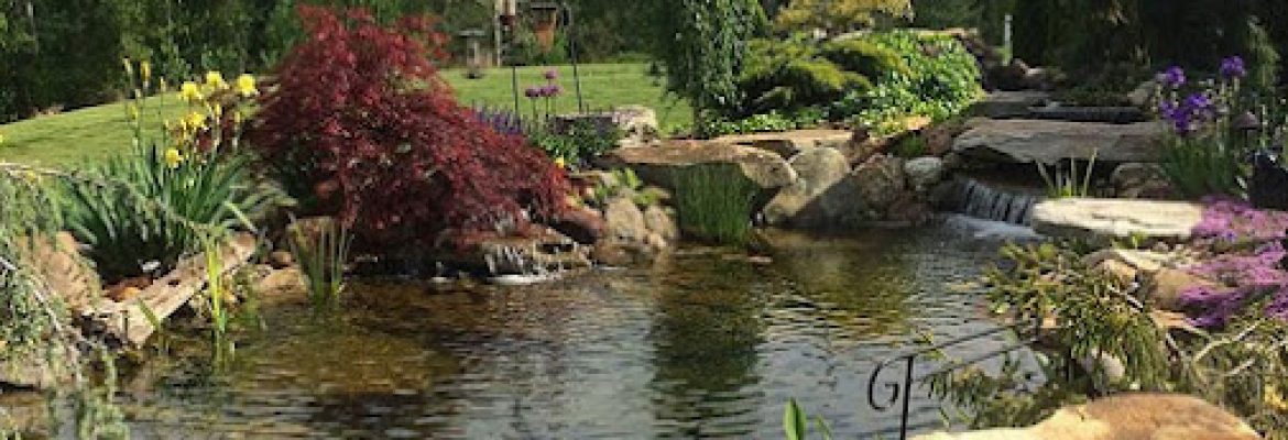 Aqua Scapes CT LLC