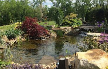 Aqua Scapes CT LLC