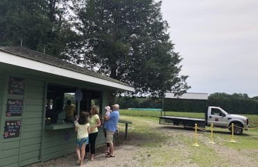 Homestead Farm of Jones Family Farms