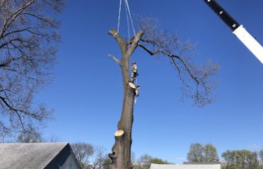 Rick’s Tree Service LLC