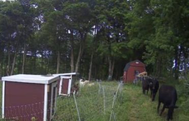 Hathor Hill Farm