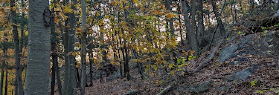 Laddins Rock Sanctuary