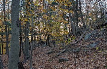 Laddins Rock Sanctuary