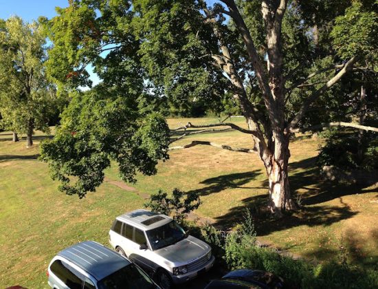 Washington Park