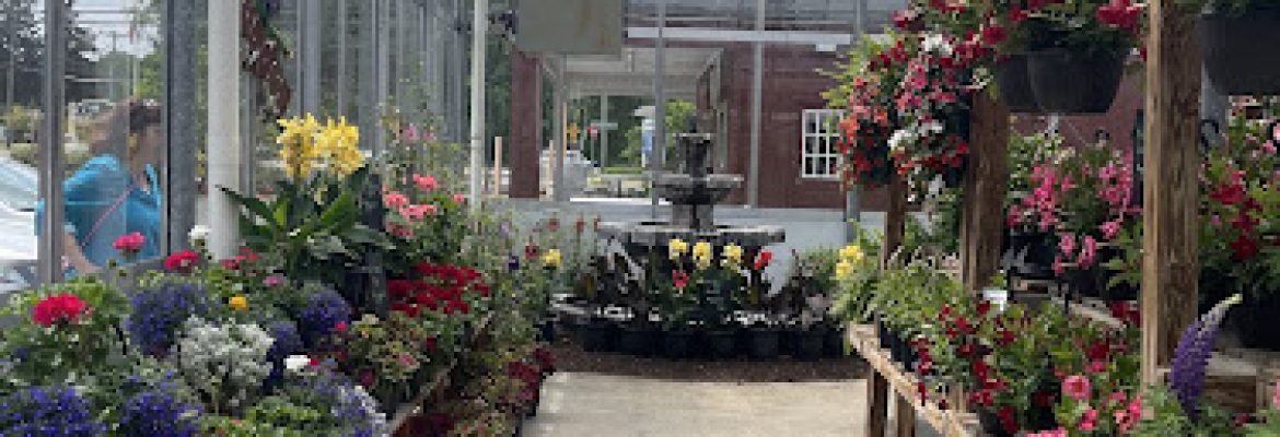 Dzen Garden Market