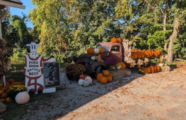 Ford Farmstand