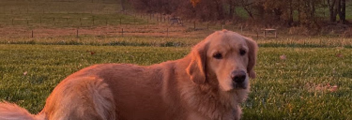 Sunset Valley Farms, LLC