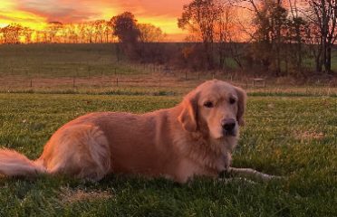 Sunset Valley Farms, LLC