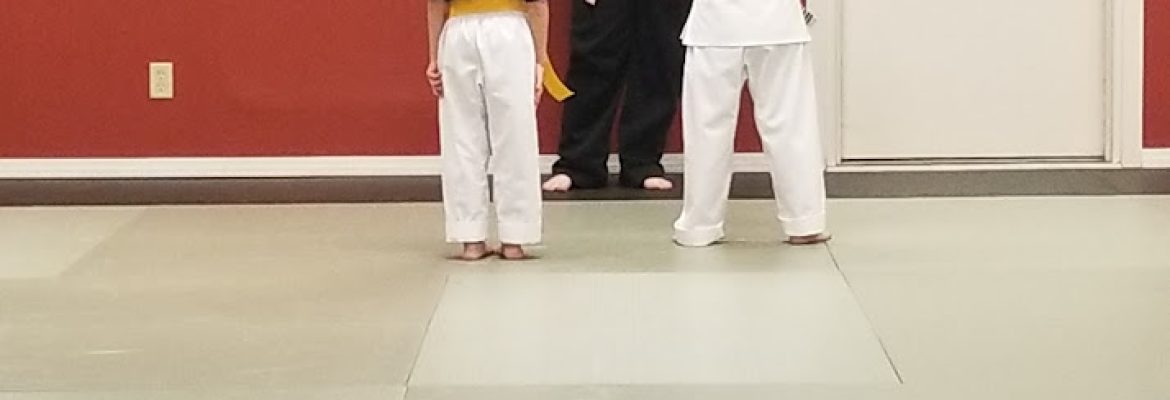 Bushi Ban Martial Arts and Fitness