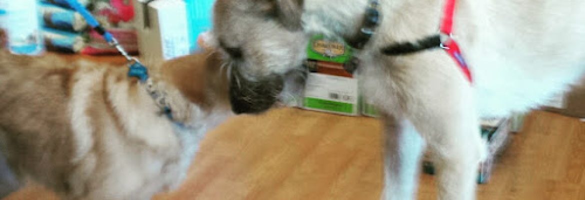 Paws and Claws Pet Food