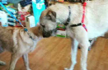 Paws and Claws Pet Food