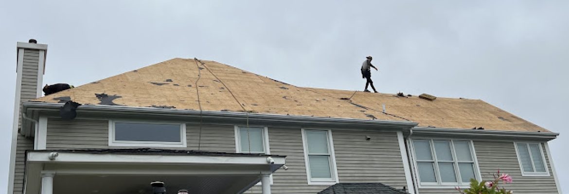 Modern Roofing