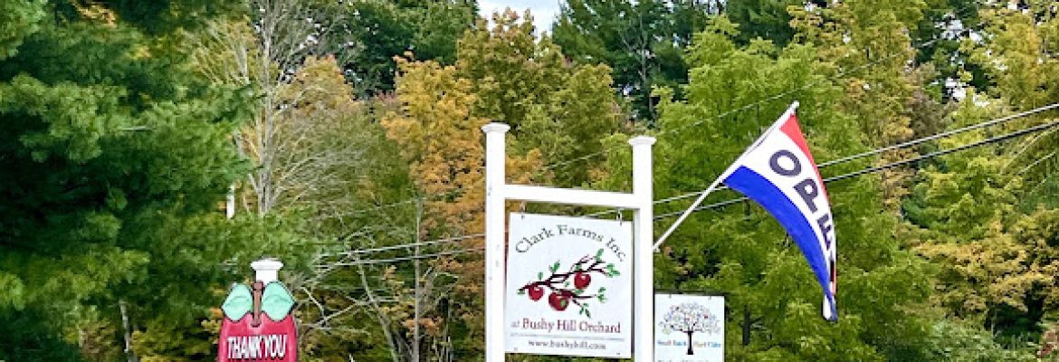 Clark Farms at Bushy Hill Orchard