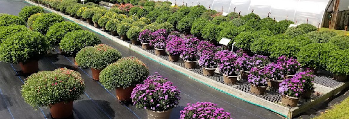 JK Greenhouses