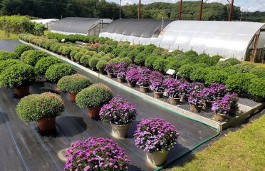 JK Greenhouses