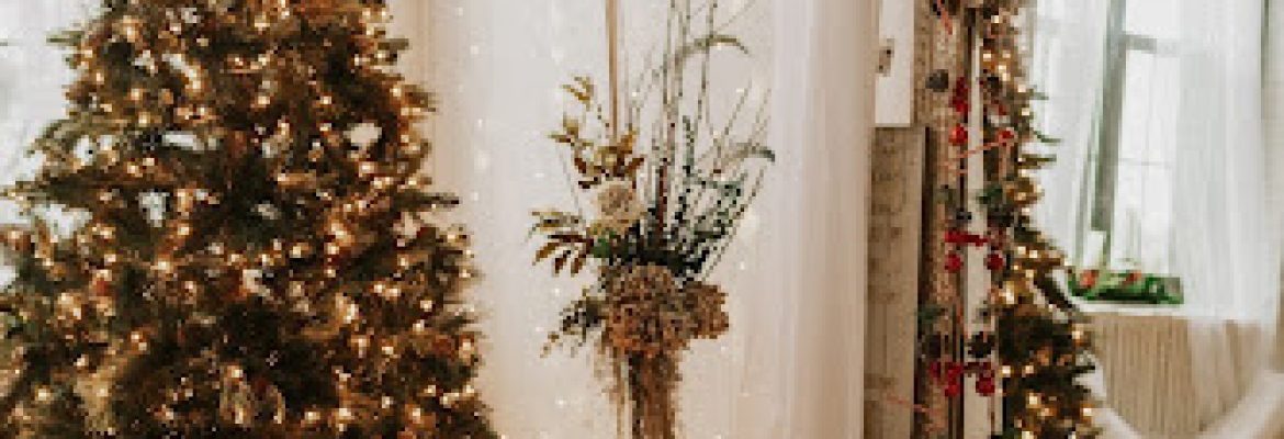 Dark Horse Photography Studios