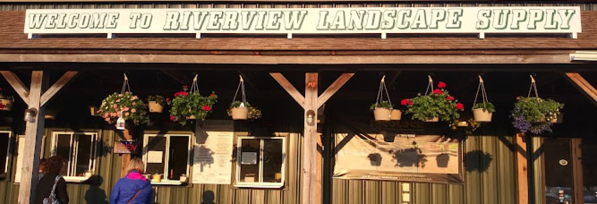 Riverview Ice Cream