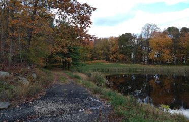 McGrath Park