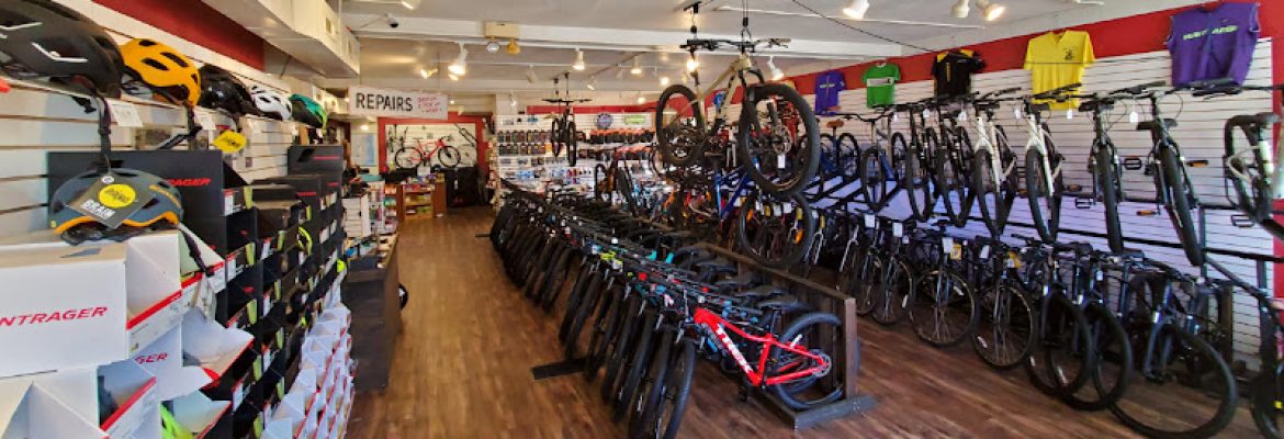 Wayfarer Bicycle