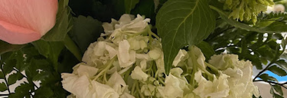 Devine Orchids florist