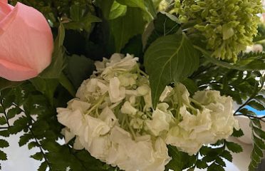 Devine Orchids florist