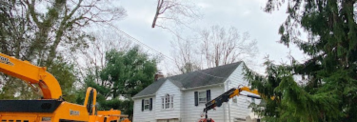 Barts Tree Service